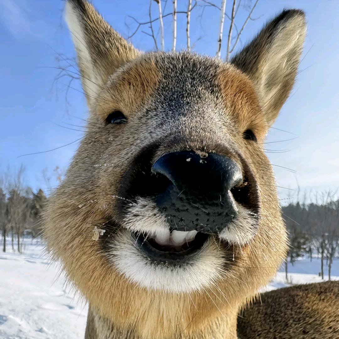 做个俗人贪财好色一身正气