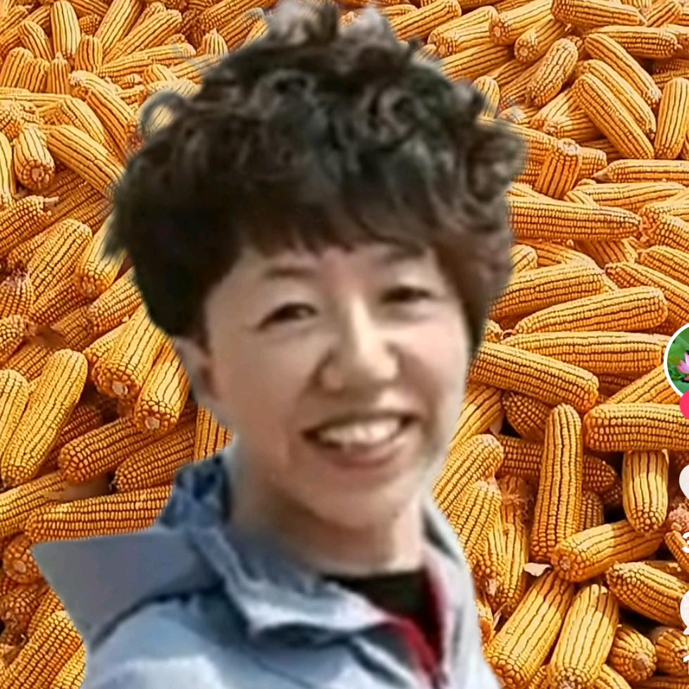 屯姐（首播）