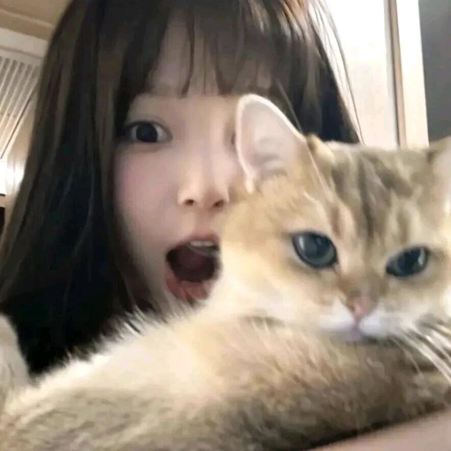 谁是搞笑女