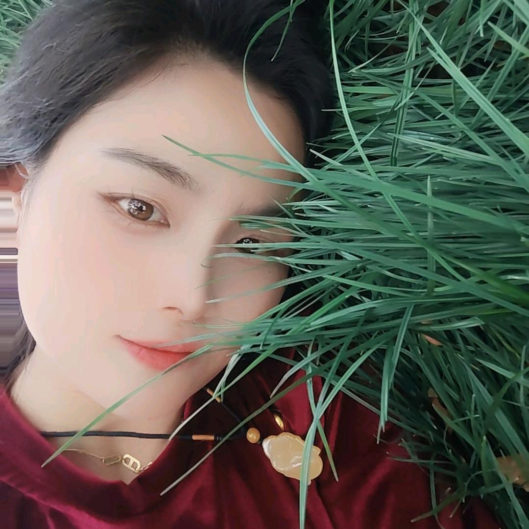 微光拾梦