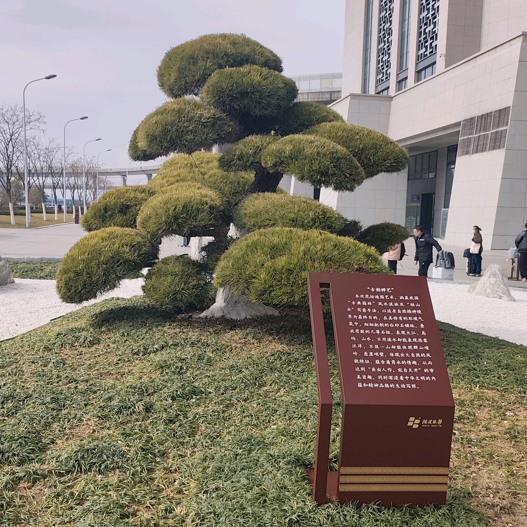 十一 ᶘ ᵒᴥᵒᶅ