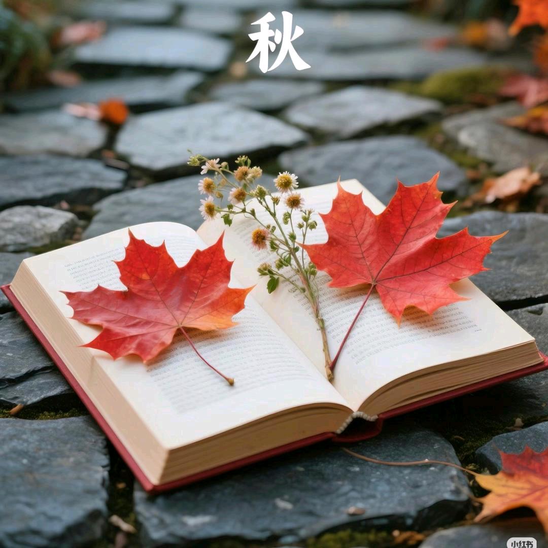 一叶知秋🍑⁷¹⁸🌴