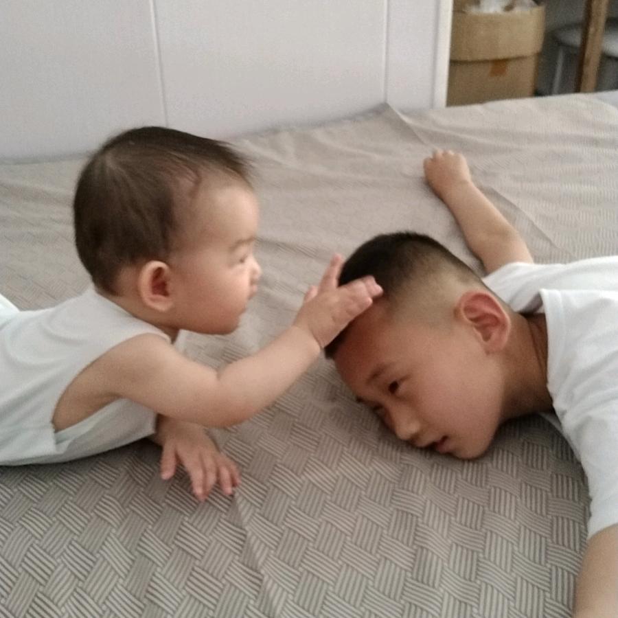 执念记过往
