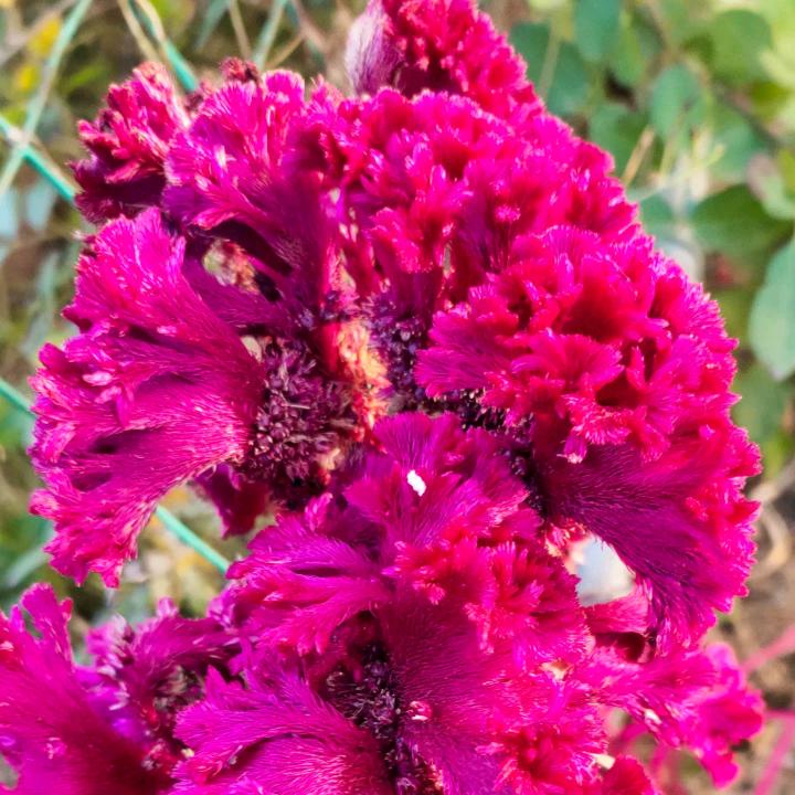 ꕥ᭄陌💞路ꦿᩚ࿐