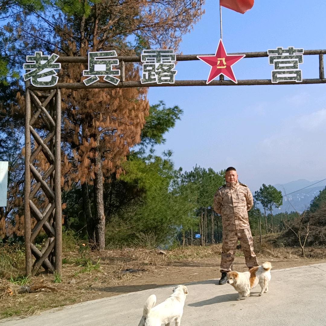 大垭口朱老兵露营基地果园农场