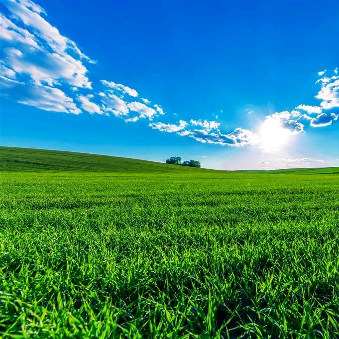 @小姐姐晶晶🐠