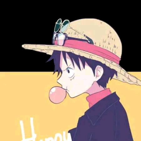 海贼君