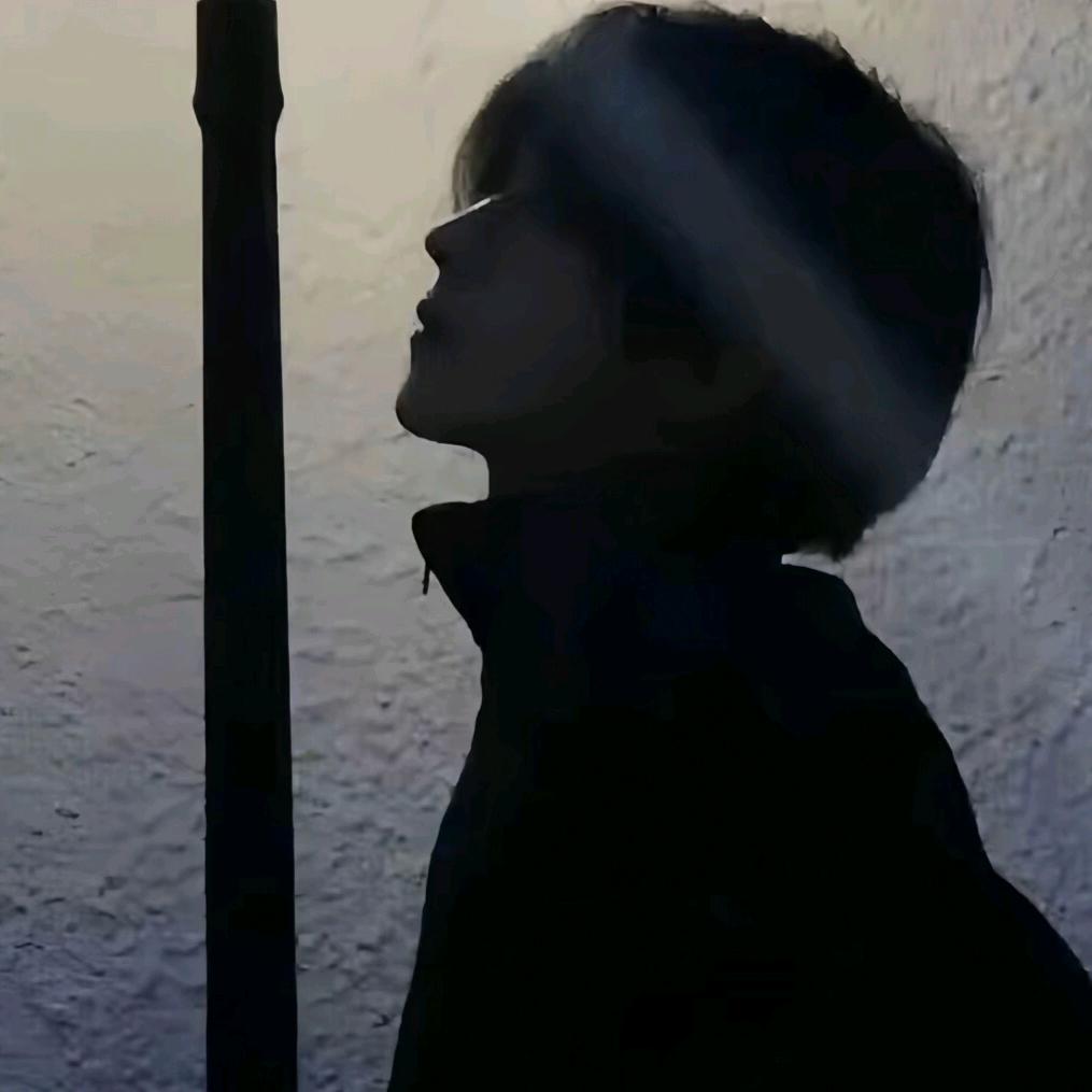 保卫向日葵-小晨