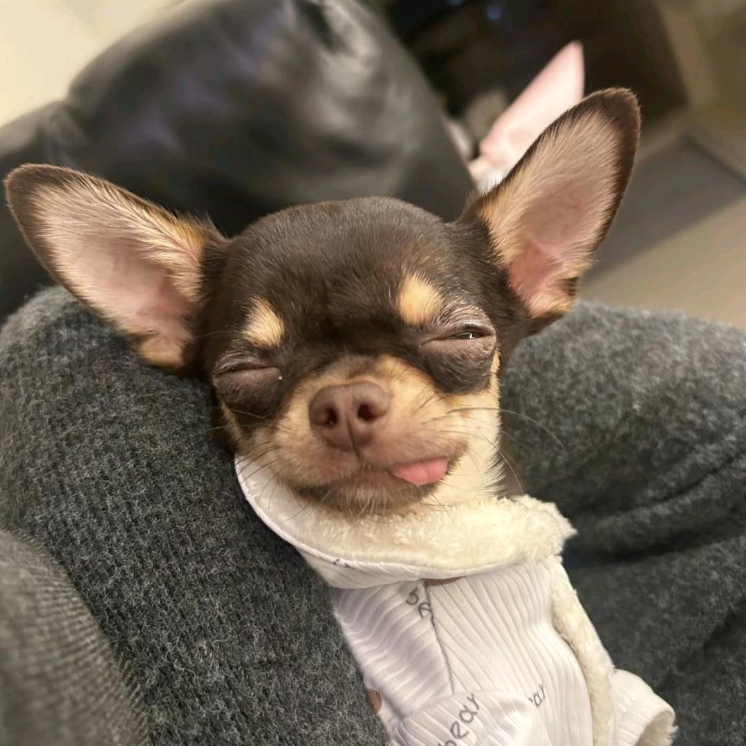 炭烤锅包肉（持续减脂中）🍅