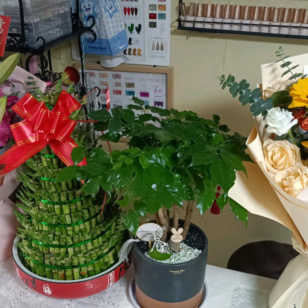 越来越好