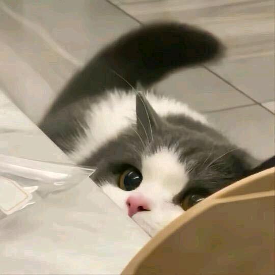 四方球