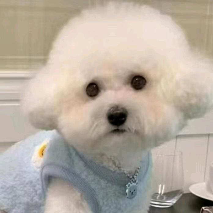 悦萌宠物服饰工厂店