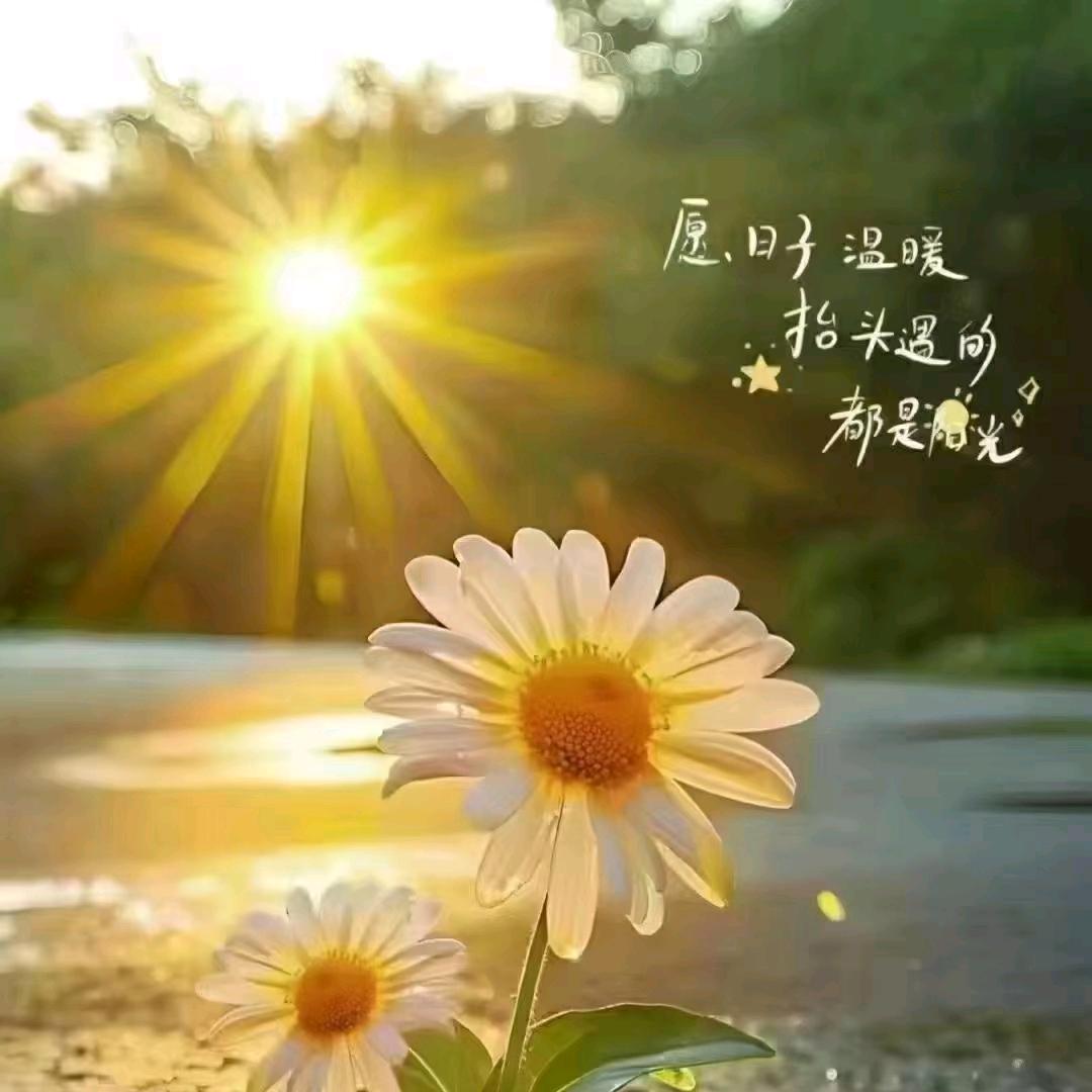 .从容