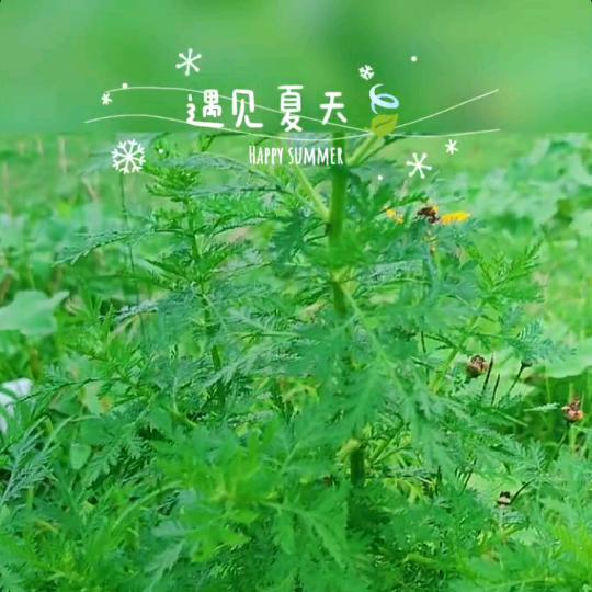 信阳金诚液压泵车维修租赁