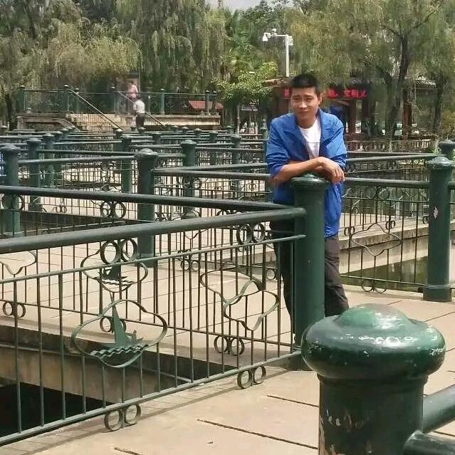 翼龙