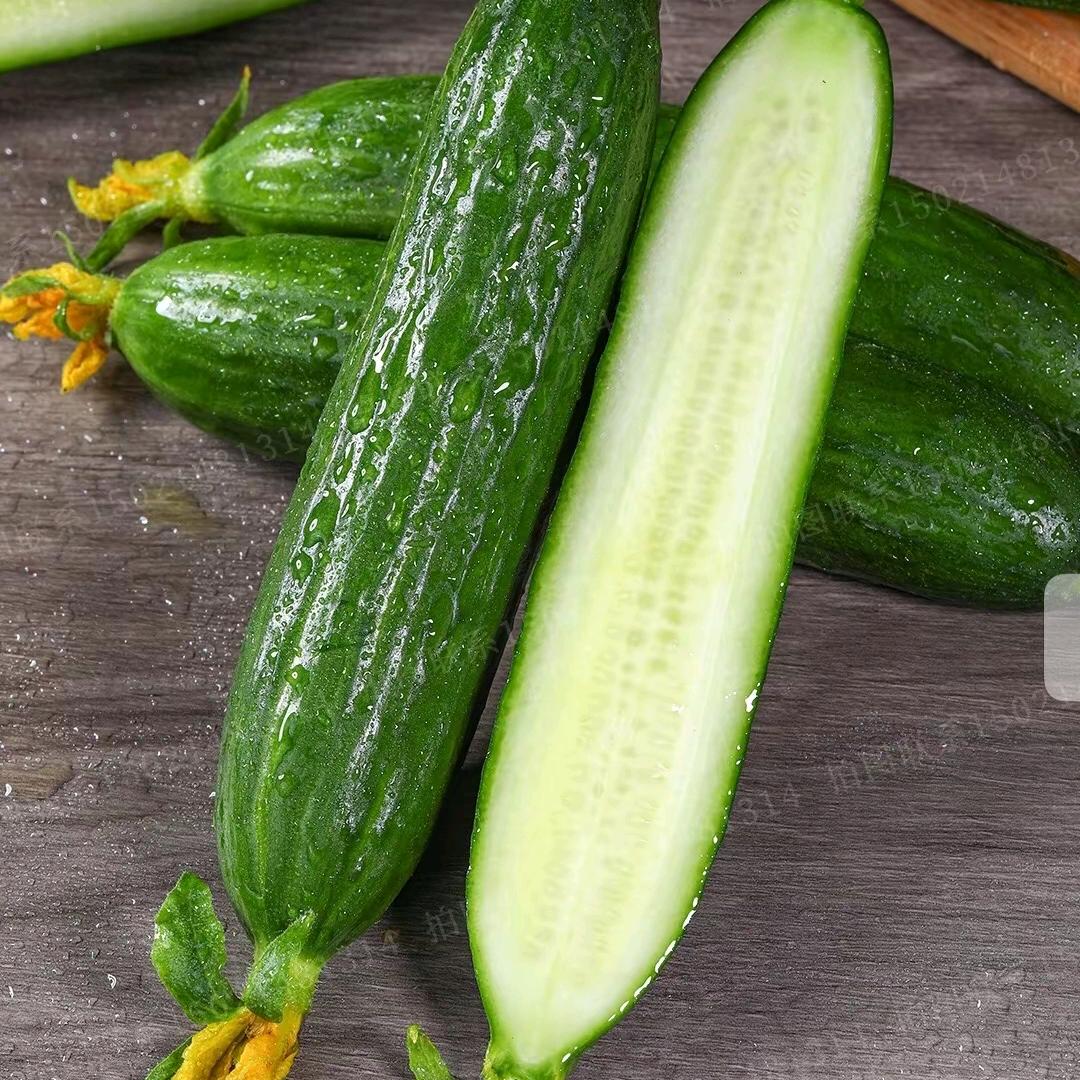 新盟农业农资·种植管理