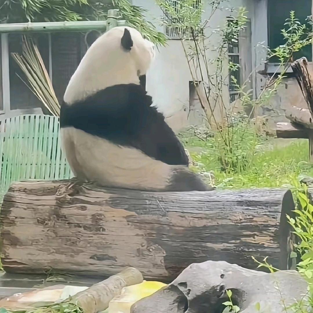 往事不回头