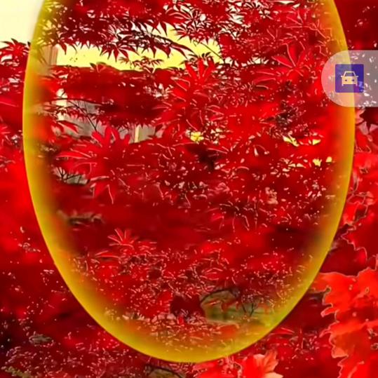 秋天的季节