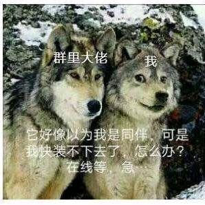 无妄