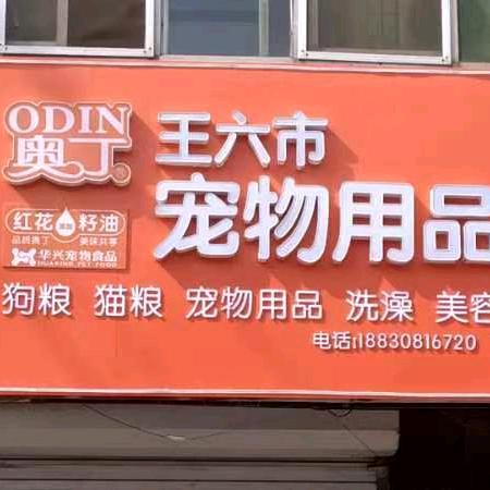 王六市宠物用品店
