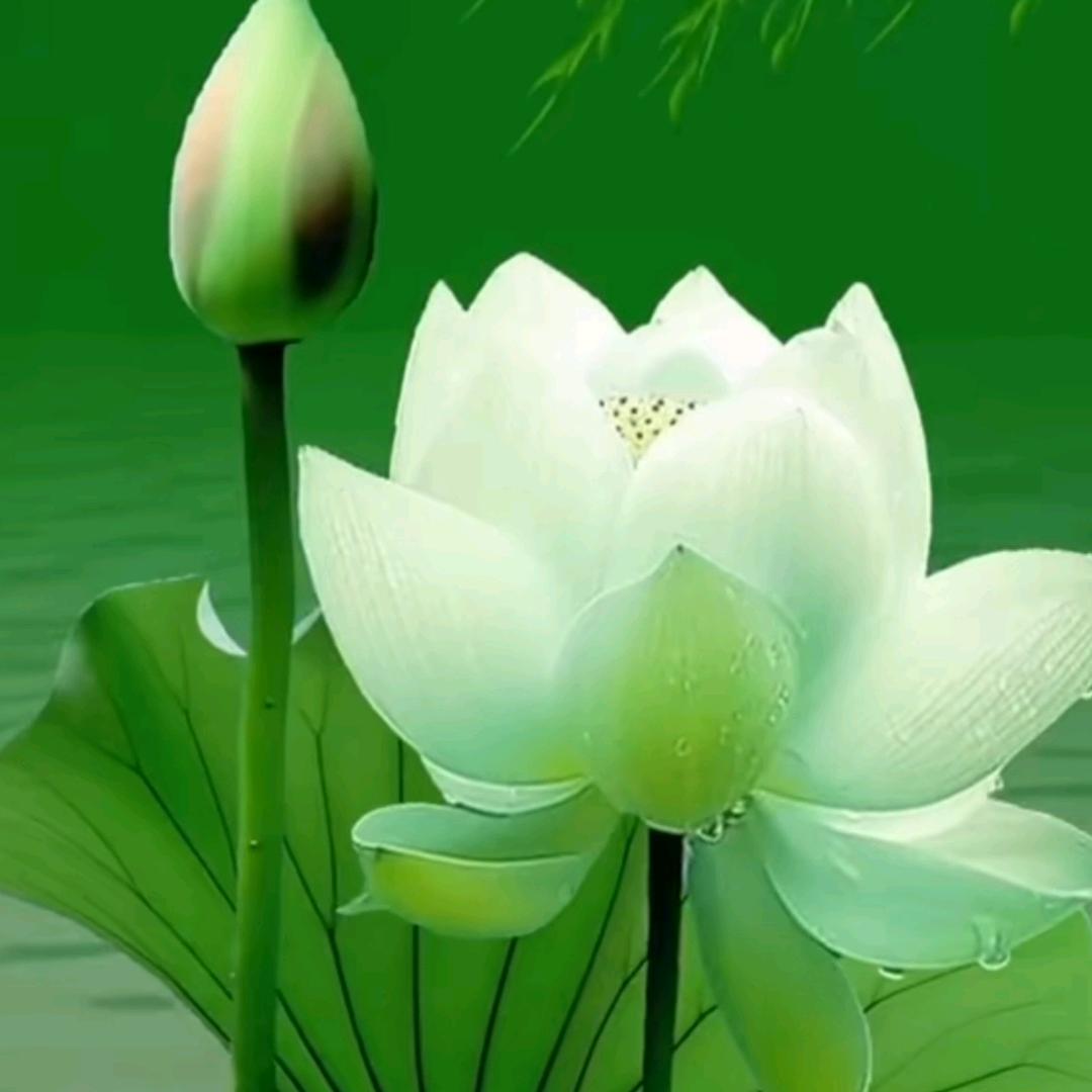 এ᭄善恶ꦿ 一瞬间ོ࿐ᩚ