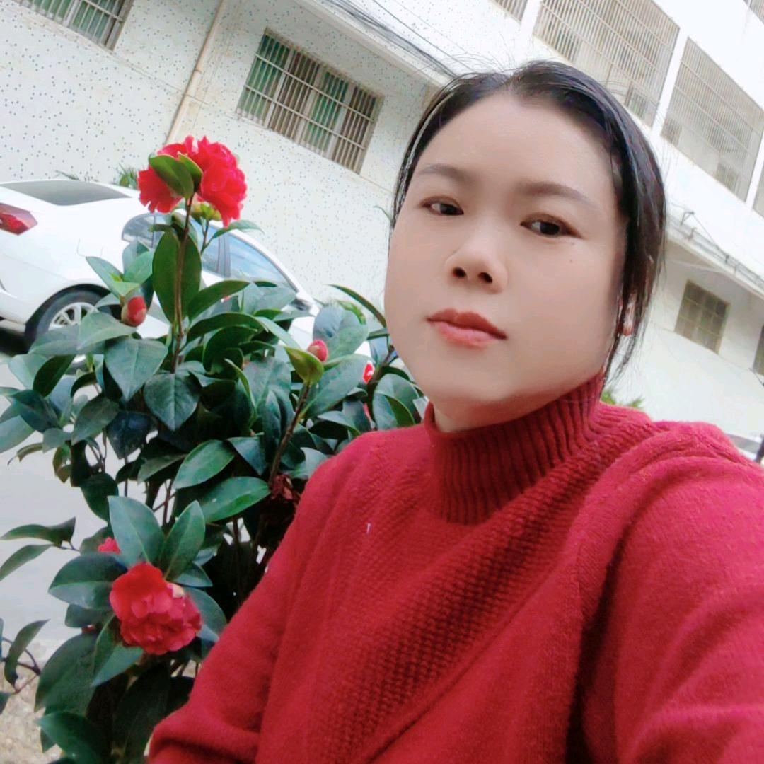 老肖一路有《李》