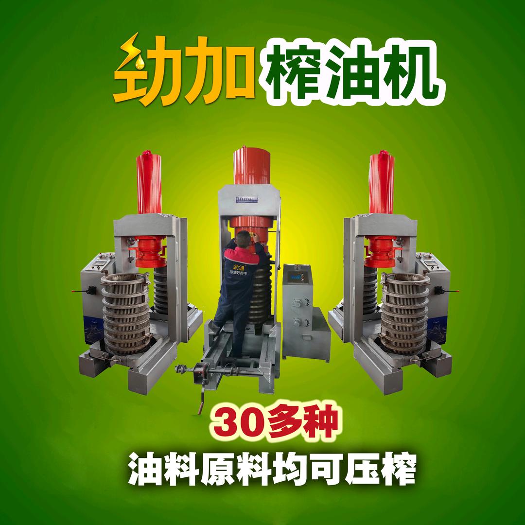 液压榨油机 劲加牌