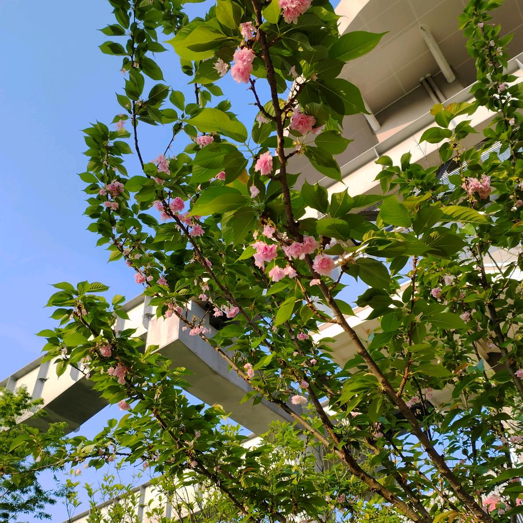 🧚‍♂️🧚‍♀️玉琼🧚‍♀️🧚‍