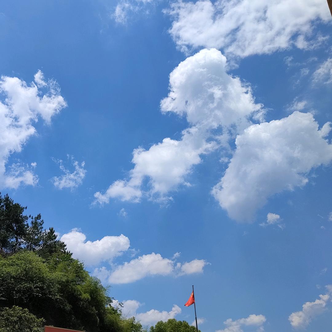 真诚必杀技