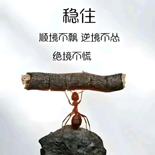 蚂蚁扛大象
