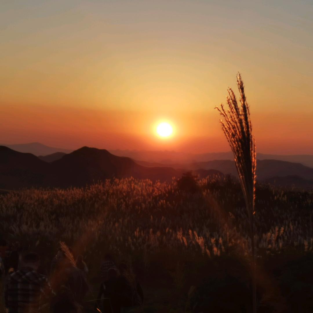 星空中的夜风
