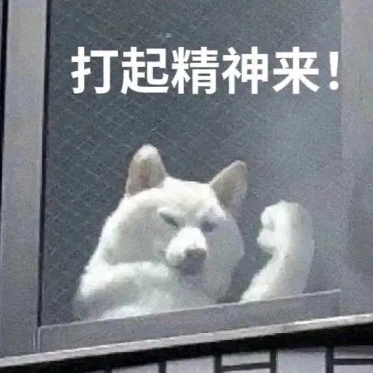 大唛养车 李伟鹏 大唛养车裕东店