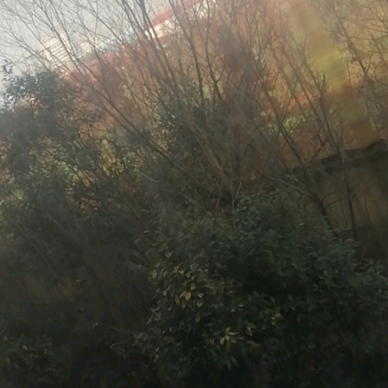 诚实