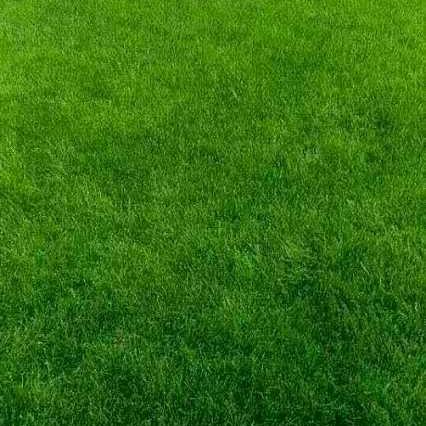 一生平安👫👫