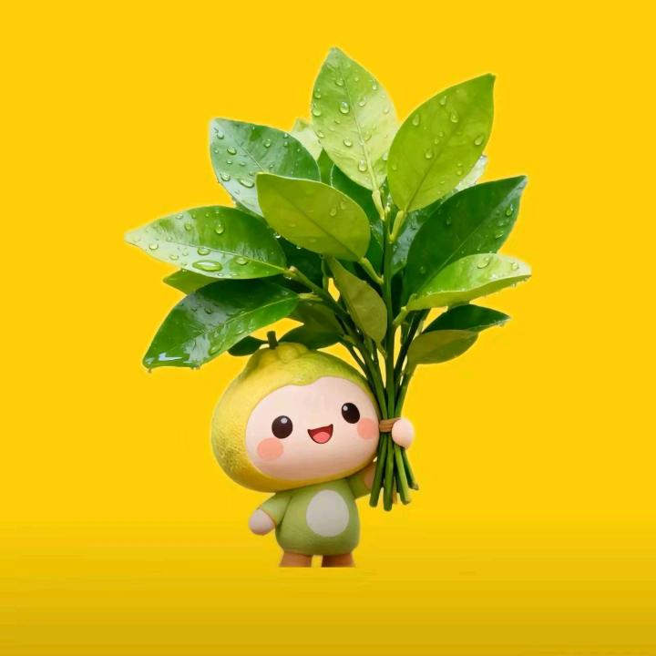 🍒幸运:ᨶ႒ᩚ相随🍒