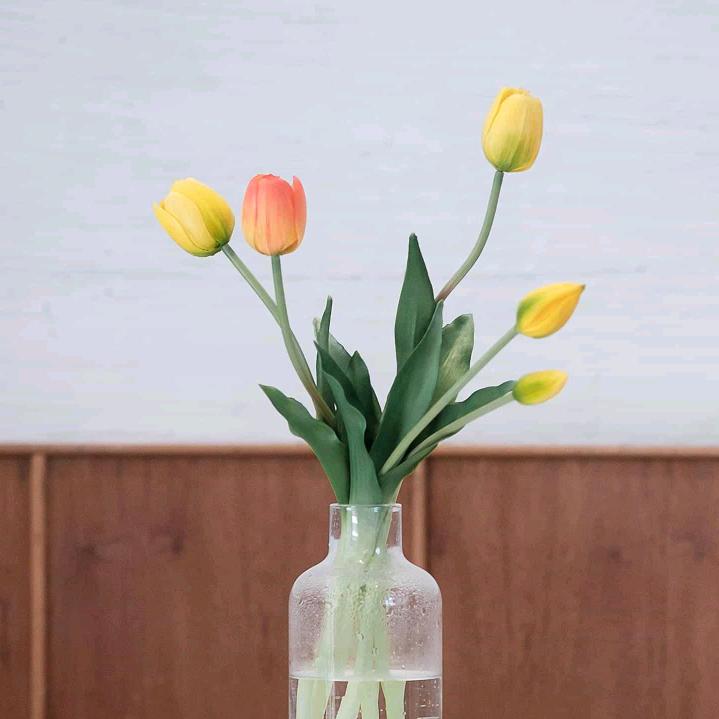 张张老师和小学生