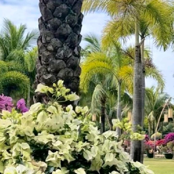 防玉石楼梯护栏，阳台护栏7