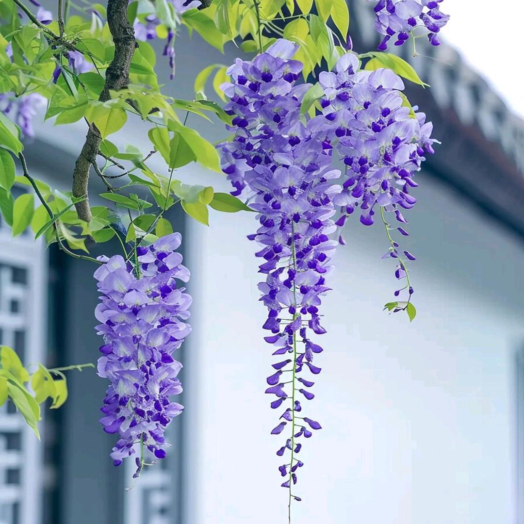 一路有你