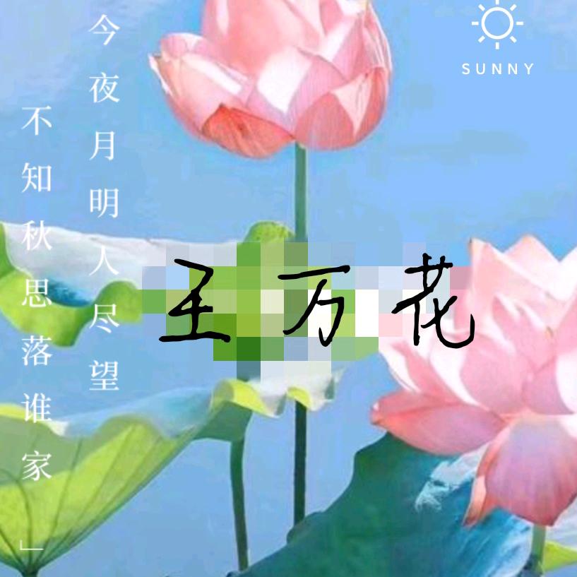 王万花