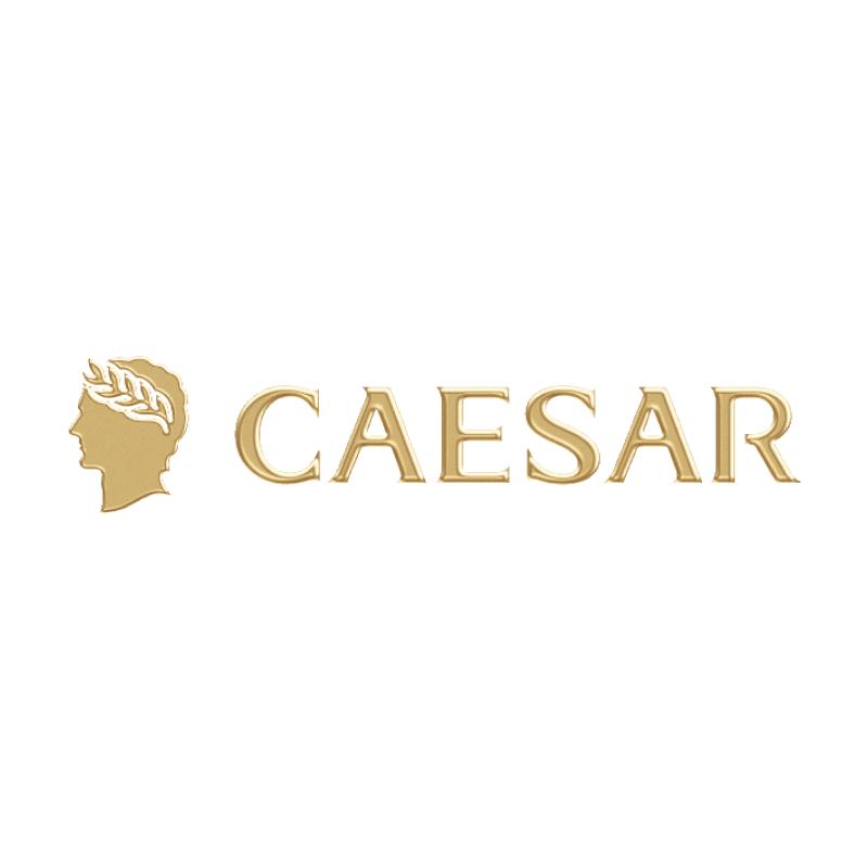 凯撒大帝CAESAR轻运动旗舰店