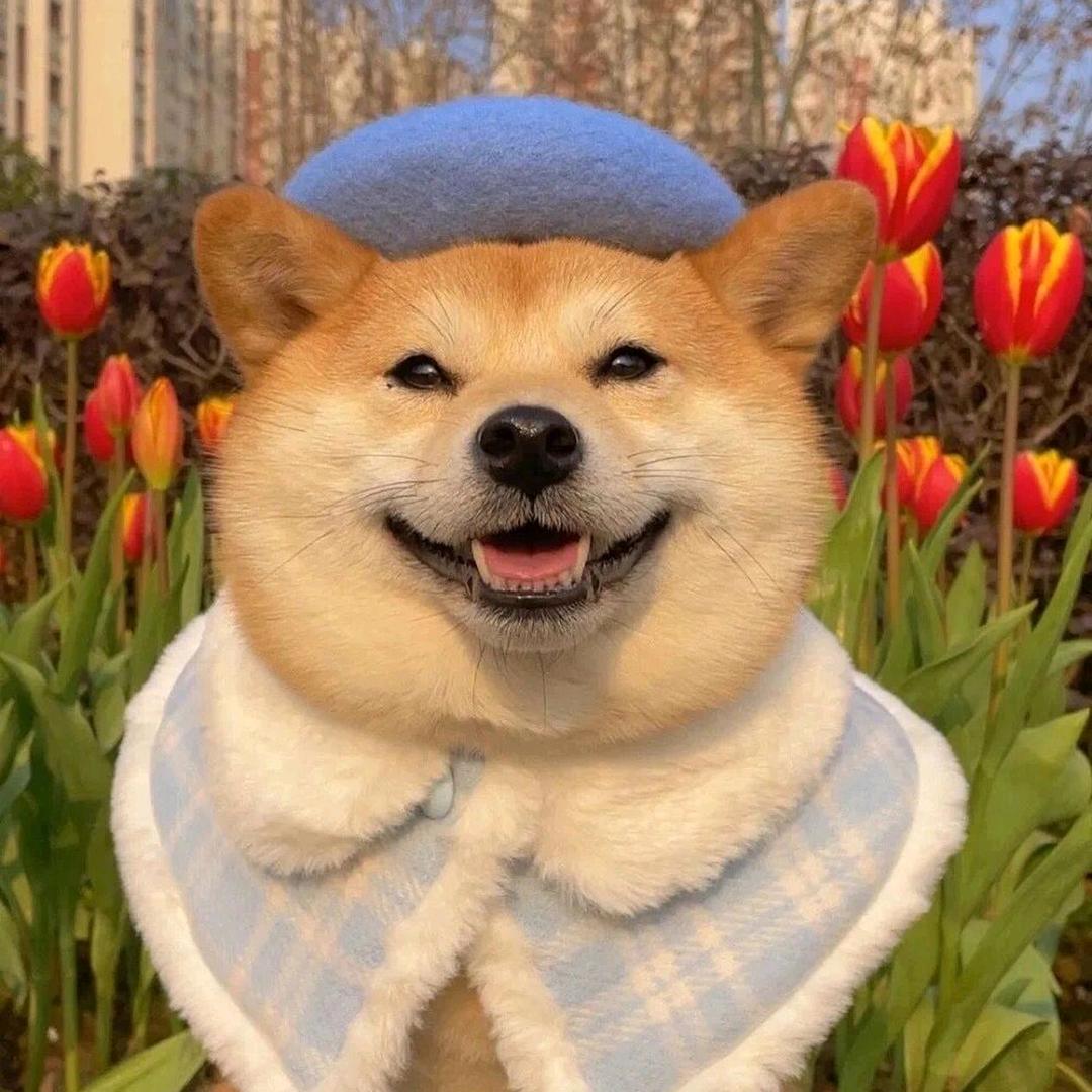滴滴答答.