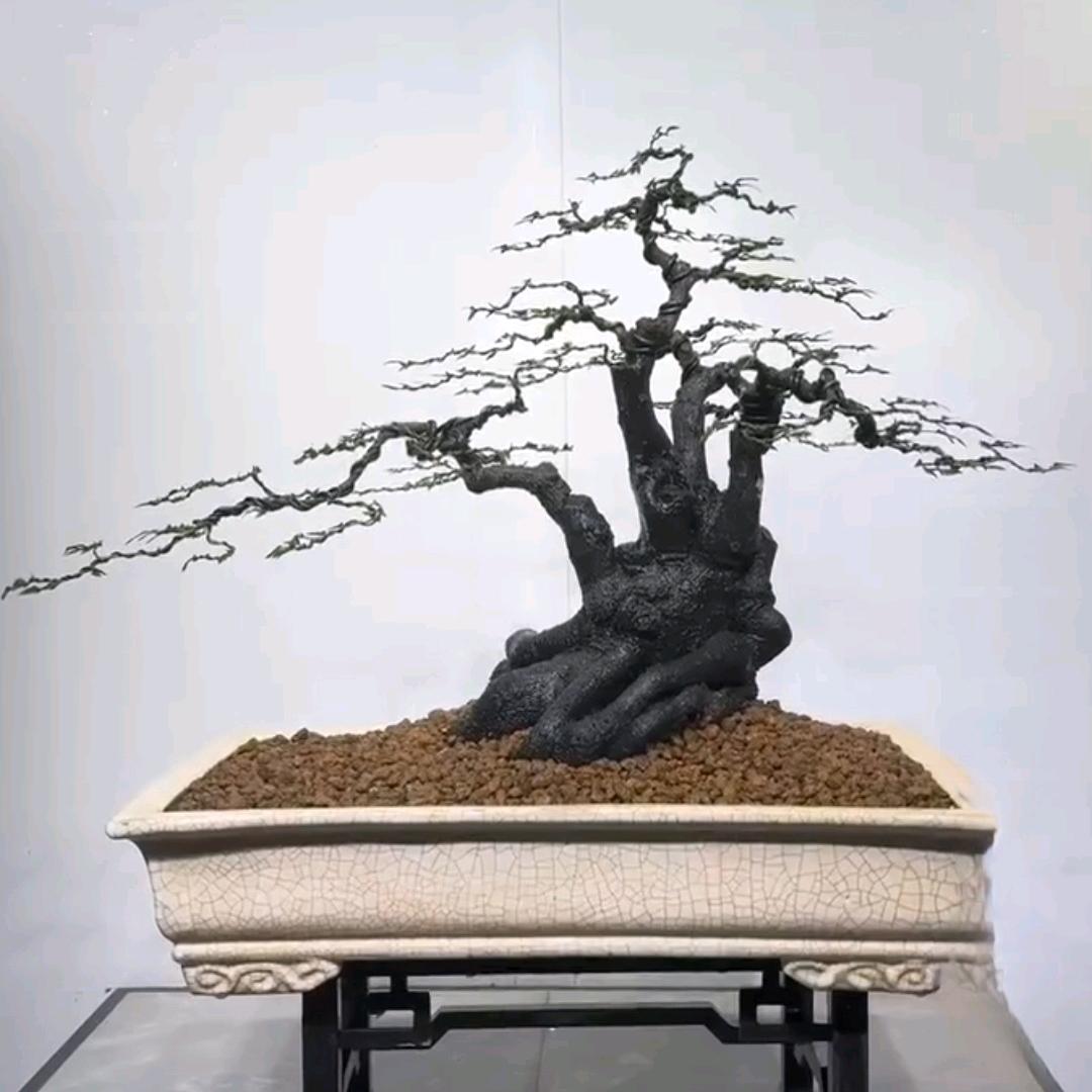 六味浮萍