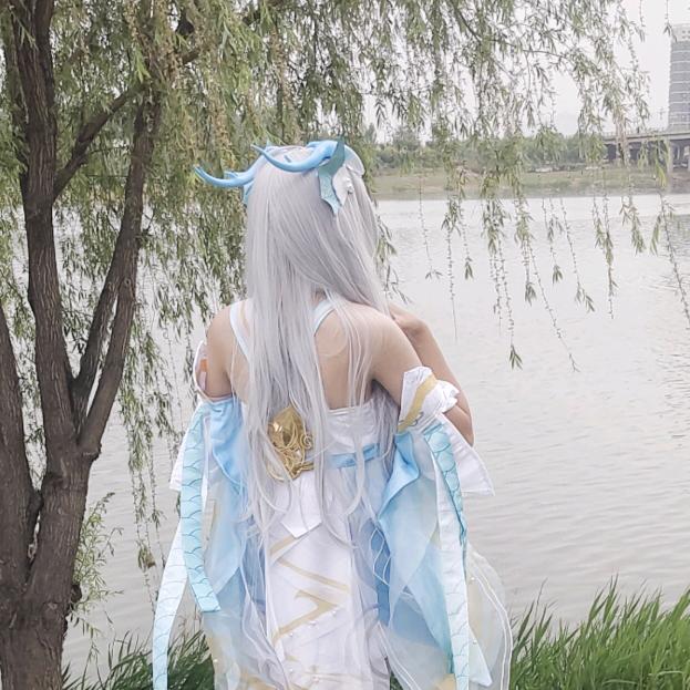 杨花落满肩