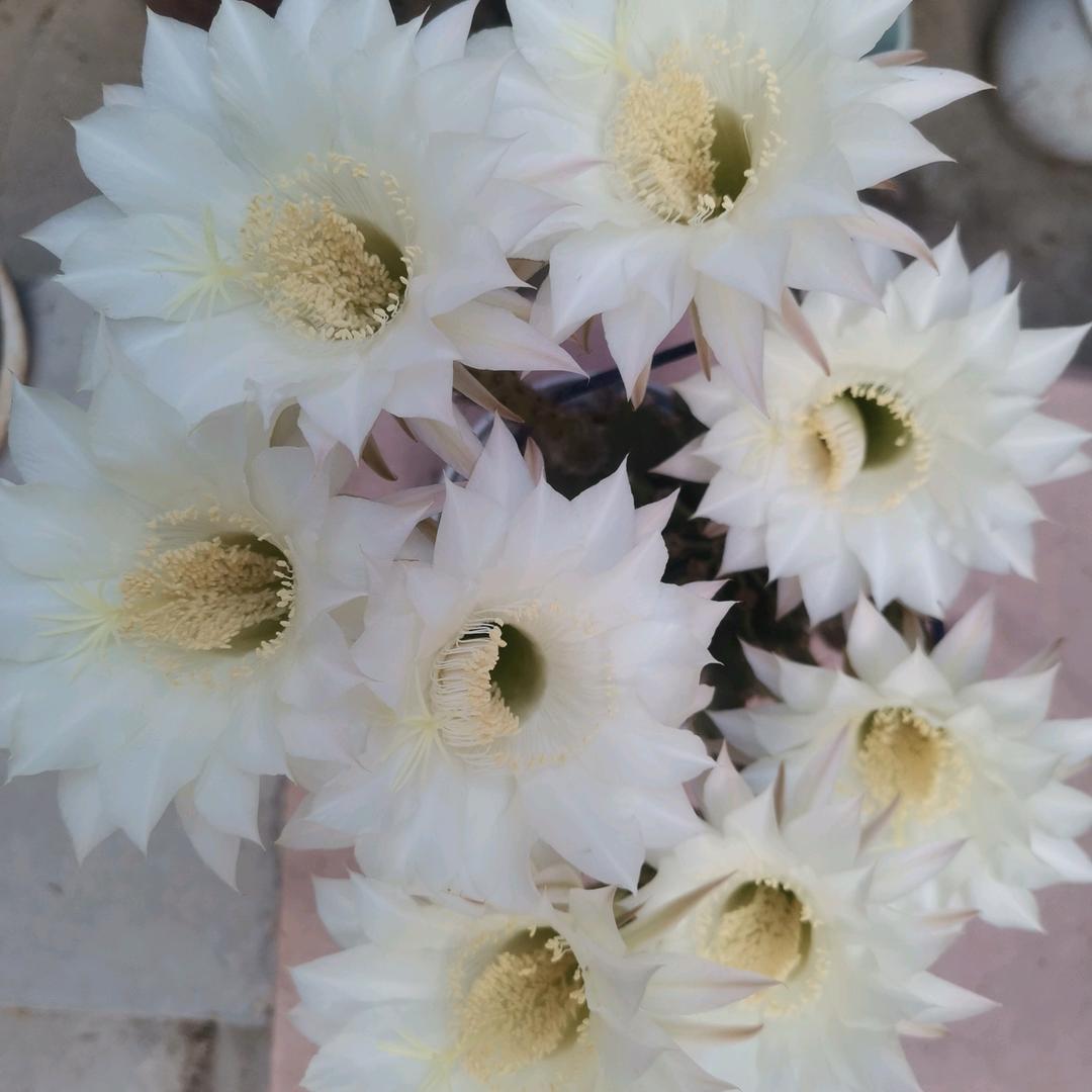 云的上端🙏🙏