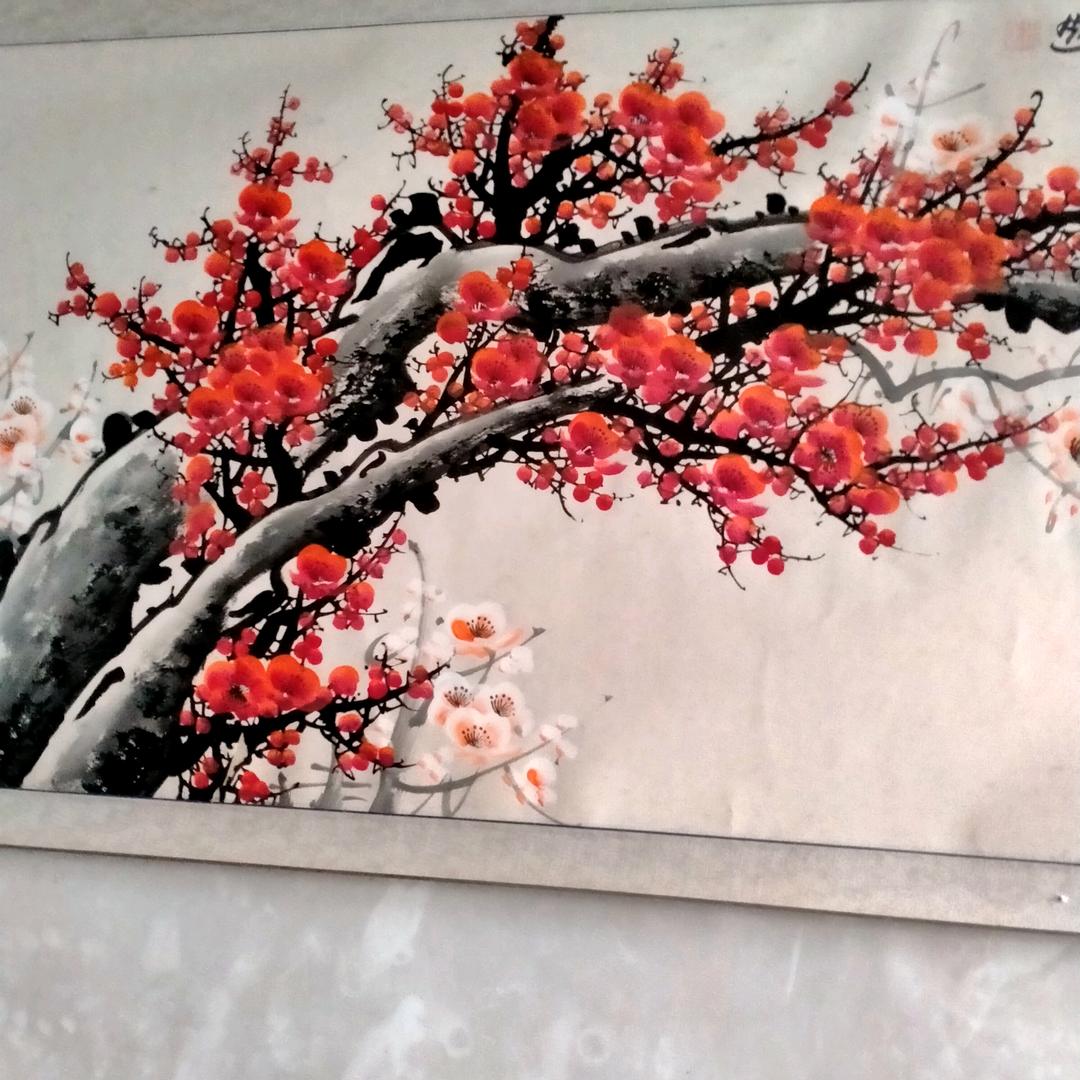 中国红123