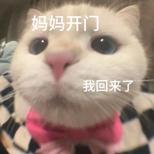半亩花塘