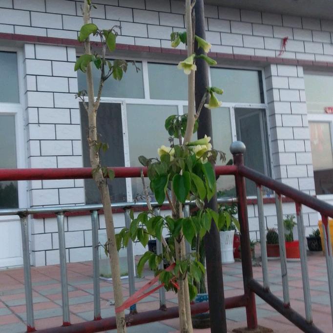相信自己