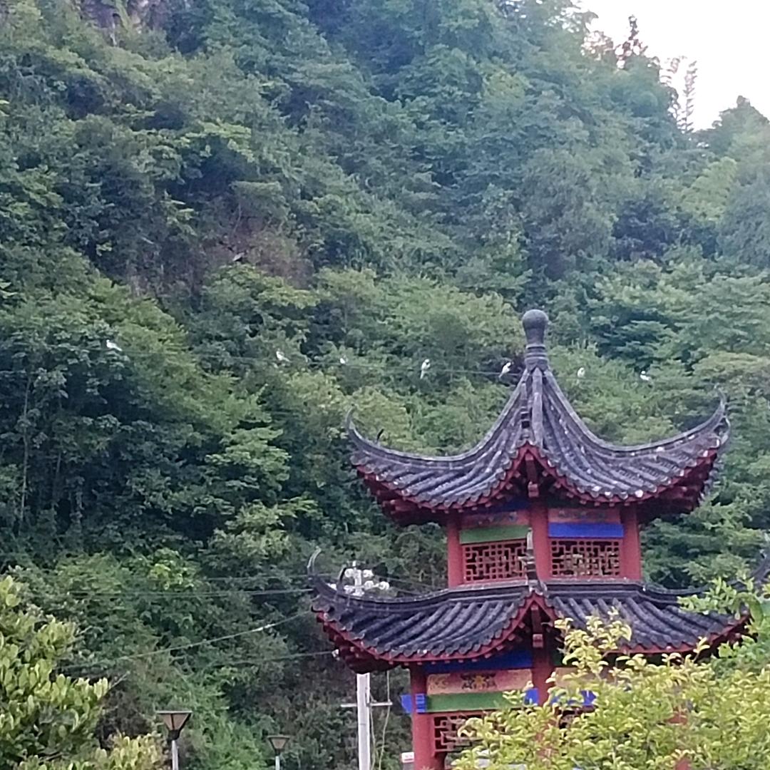@鼎哥在户外🔥