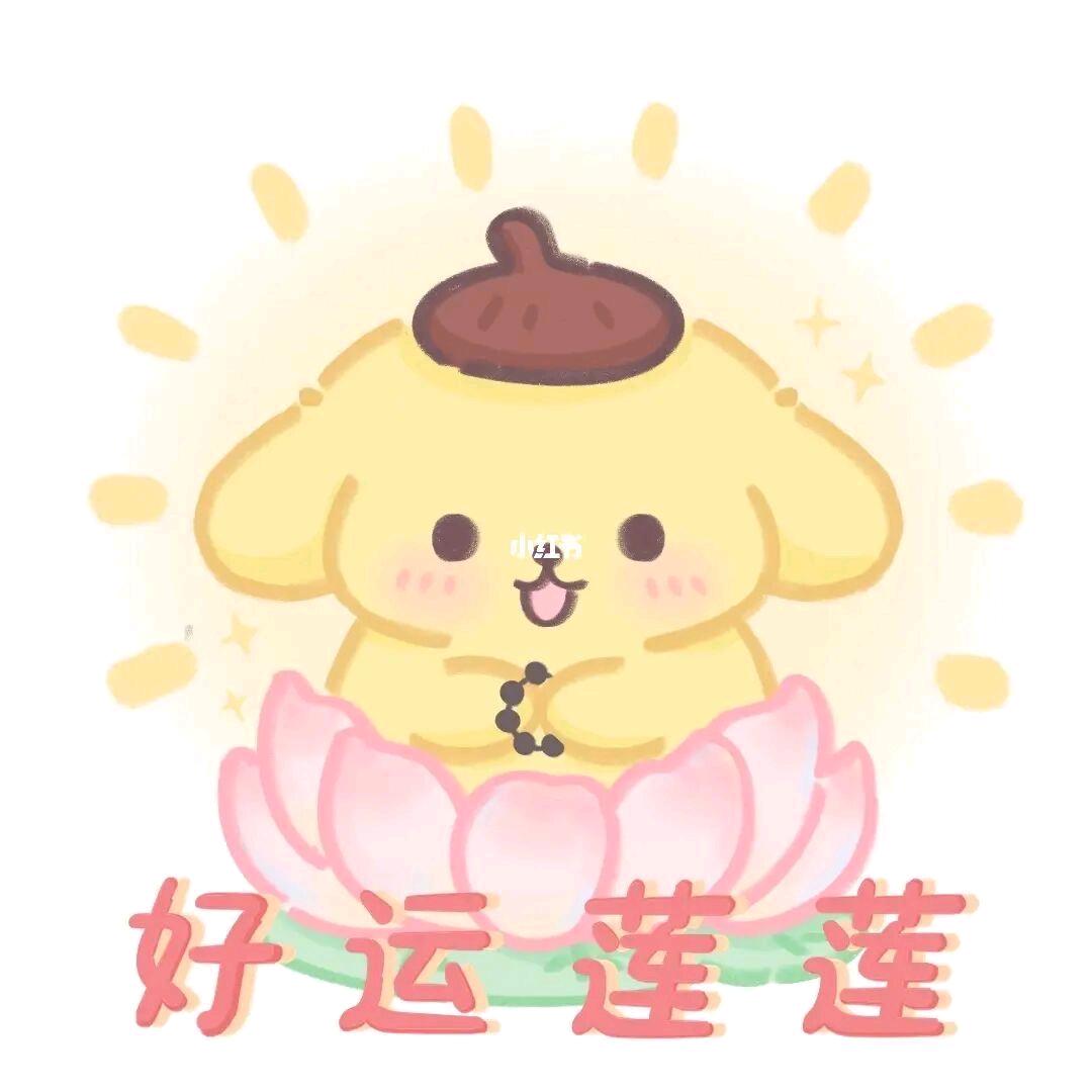 小尾巴（求职版）