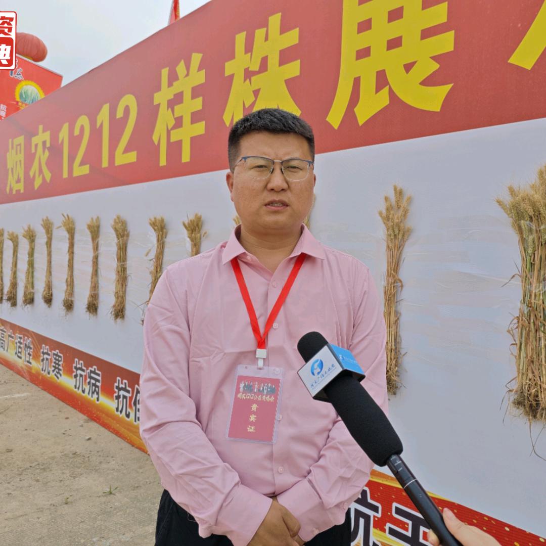 王竟绍丰乐种业
